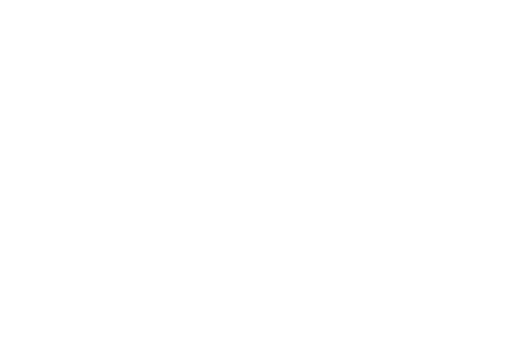 fix flip white